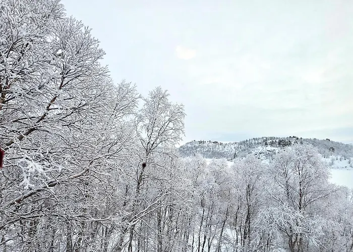 Amazing In Edland With House Sea View Daire Nesland